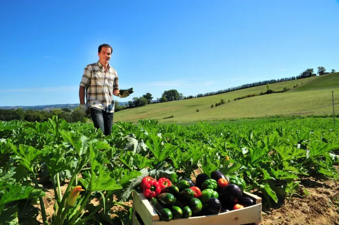 agri1 Vignette