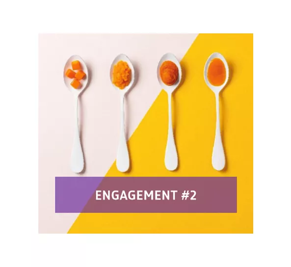 Engagement 2 Vignette